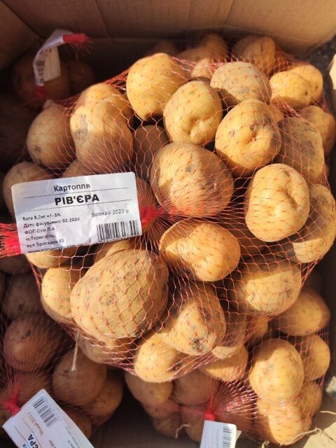 Картопля насіннєва Ультрарання Рів'єра/ Riviera 3 кг (1 репродукція) Картопля насіннєва Ультрарання Рів'єра/ Riviera 3 кг (1 репродукція)