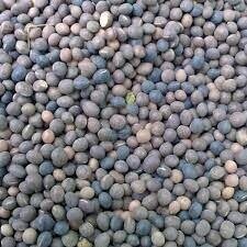 Вика 5 кг WoS Вика 5 кг WoS