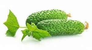 Огурец Балкан 10 семян. А
