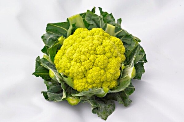 Капуста цветная Грин Сторм F1 20с. А Капуста цветная Грин Сторм F1 20с. А