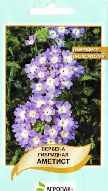 Вербена Аметист гибрид низкорослый 0,1 г А Вербена Аметист гибрид низкорослый 0,1 г А