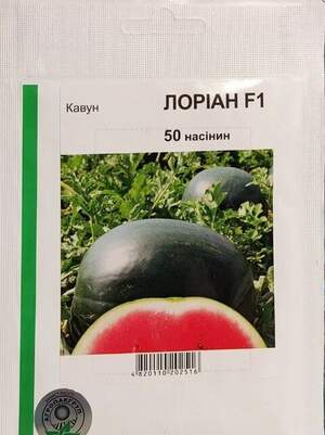 Арбуз Лориан F1 50 семян. А. Арбуз Лориан F1 50 семян. А.