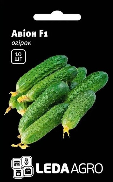 Огірок Авион 10нас. L (Yuksel Seeds) Огірок Авион 10нас. L (Yuksel Seeds)