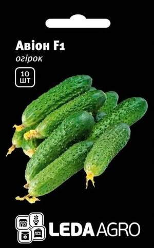 Огірок Авион 10нас. L (Yuksel Seeds) Огірок Авион 10нас. L (Yuksel Seeds)