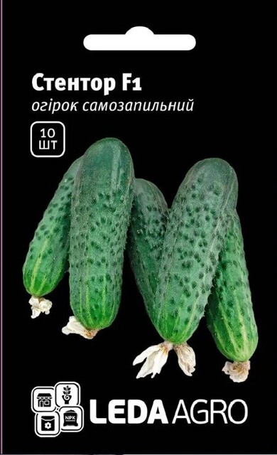 Огірок Стентор / Stantor F1 10 нас. L. (Nunhems) Огірок Стентор / Stantor F1 10 нас. L. (Nunhems)