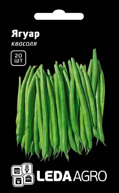 Квасоля спаржева Ягуар /Yaguar F1 20нас. L (Hazera) Квасоля спаржева Ягуар /Yaguar F1 20нас. L (Hazera)