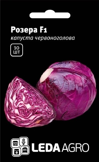 Капуста Розера F1 10 семян. L (Hazera) Капуста Розера F1 10 семян. L (Hazera)