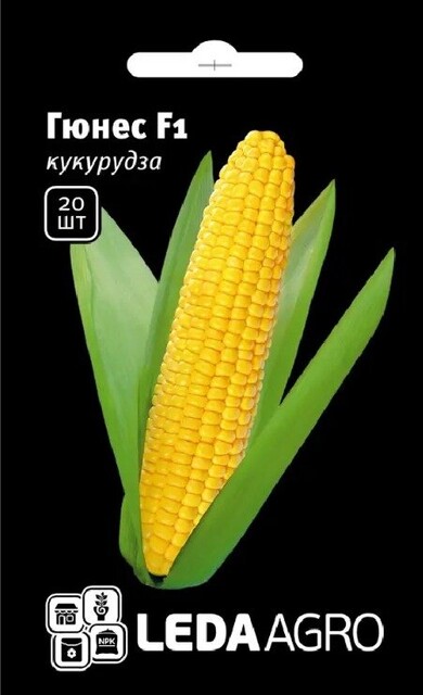 Кукурудза Гюнес F1 20 нас.. L. Кукурудза Гюнес F1 20 нас.. L.