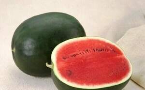 Кавун Лахат F1 10 нас. А (Hazera)