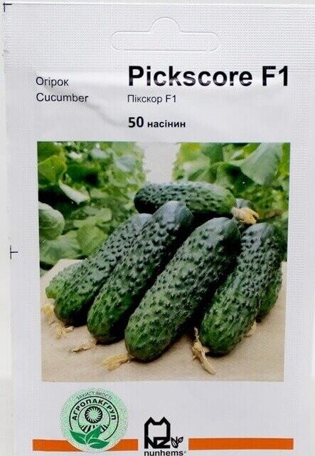 Огірок Пікскор/Pickscore F1, 50н. А Nunhems Огірок Пікскор/Pickscore F1, 50н. А Nunhems