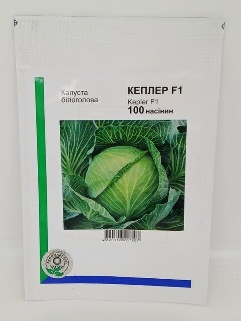 Капуста Кеплер F1 100 нас.. А (Syngenta) Капуста Кеплер F1 100 нас.. А (Syngenta)