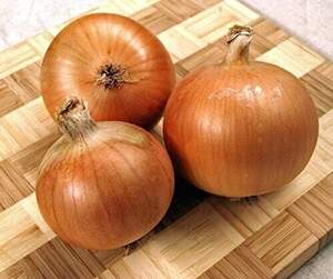 Лук севок Болеро, 0,5 кг  (Nederland) Лук севок Болеро, 0,5 кг  (Nederland)