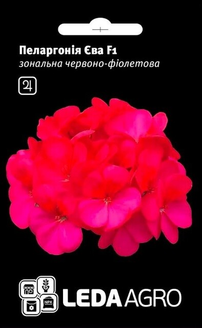 Пеларгонія Єва F1, 5 нас. L Пеларгонія Єва F1, 5 нас. L
