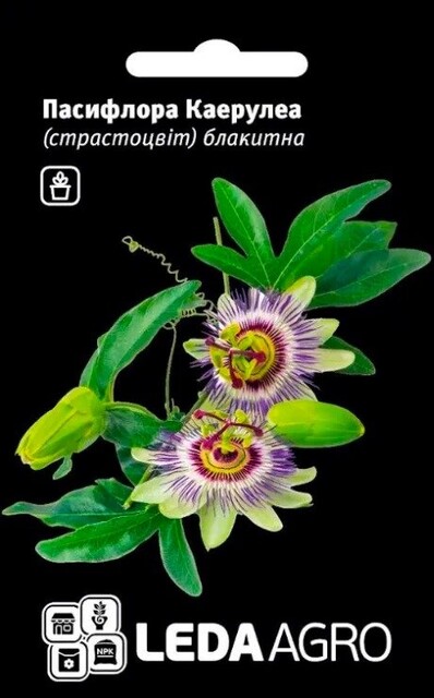 Пассифлора Каэрулеа (страстоцвет) голубая 0,05г L Пассифлора Каэрулеа (страстоцвет) голубая 0,05г L