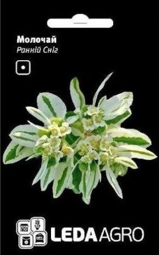 Молочай Ранній Сніг 0,2г L Молочай Ранній Сніг 0,2г L
