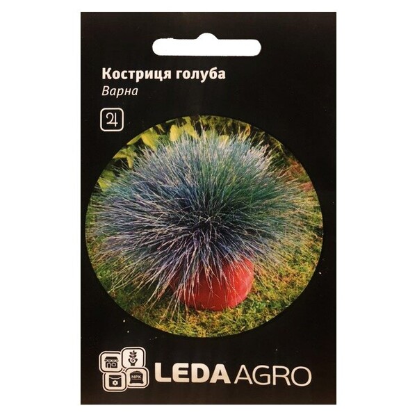 Костриця голуба Варна 0,2гр. L Костриця голуба Варна 0,2гр. L