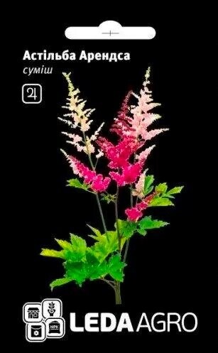 Астільба Арендса (суміш)  0,01гр.  L Астільба Арендса (суміш)  0,01гр.  L