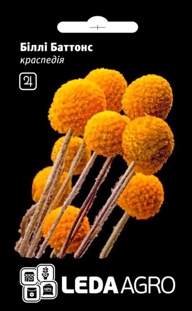 Краспедия Билли Баттонс 0,05г L Краспедия Билли Баттонс 0,05г L