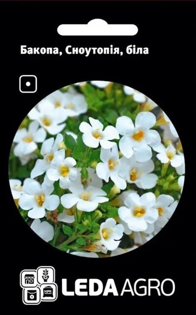 Бакопа, Сноутопія, біла 5 нас. L Бакопа, Сноутопія, біла 5 нас. L