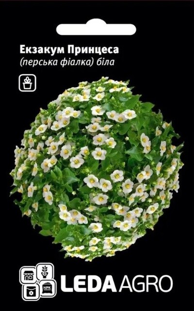 Экзакум Принцесса белая 5 семян.  L Экзакум Принцесса белая 5 семян.  L