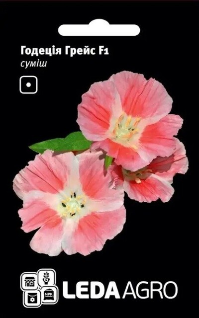 Годеция Грейс F1 смесь 5 семян. L Годеция Грейс F1 смесь 5 семян. L