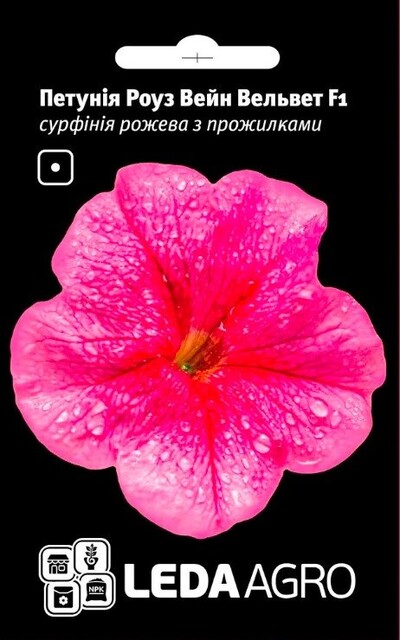 Петуния (сурфиния) Даймонд Роуз Уэйн F1 5сем.. L Петуния (сурфиния) Даймонд Роуз Уэйн F1 5сем.. L