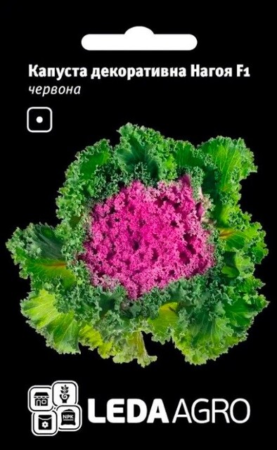 Капуста декоративна Нагойя F1 червона 10нас. L Капуста декоративна Нагойя F1 червона 10нас. L