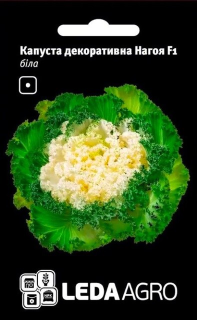 Капуста декоративная Нагойя F1 белая 10сем.. L Капуста декоративная Нагойя F1 белая 10сем.. L