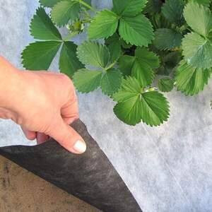 Агроволокно чорно-біле 50 г/кв.м (3,2*10 м) AGREEN Агроволокно чорно-біле 50 г/кв.м (3,2*10 м) AGREEN