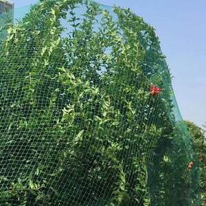 Сітка від птахів  4*20м  AGREEN