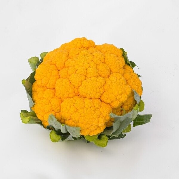 Капуста цвітна Клементін F1 1000 нас. (Syngenta) Капуста цвітна Клементін F1 1000 нас. (Syngenta)