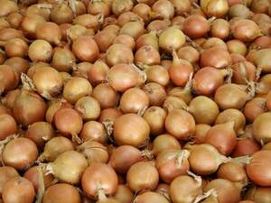 Цибуля Натіон F1, 250 000 нас. (Syngenta) Цибуля Натіон F1, 250 000 нас. (Syngenta)