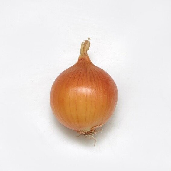 Цибуля Натіон F1, 250 000 нас. (Syngenta) Цибуля Натіон F1, 250 000 нас. (Syngenta)