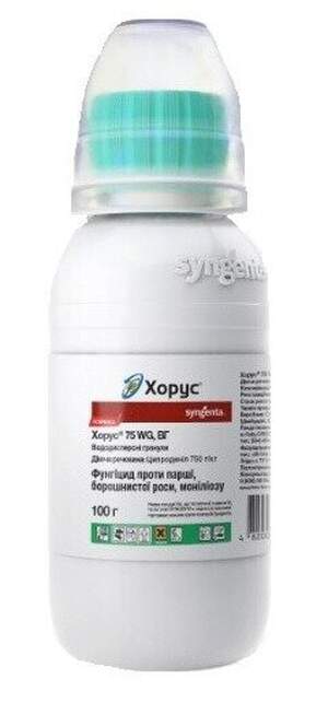 Хорус 100г Syngenta (Syngenta)