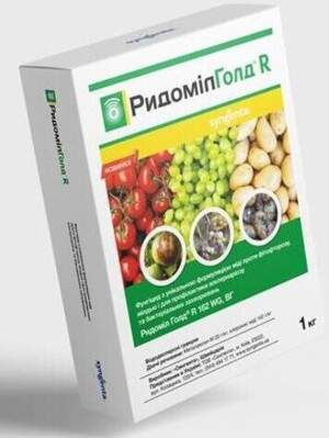 Фунгицид  Ридомил Голд R  1 кг. (Syngenta)