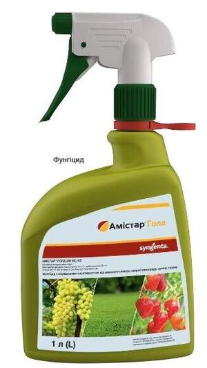 Фунгіцид Спрей Амістар, 1 л, (Syngenta) Фунгіцид Спрей Амістар, 1 л, (Syngenta)