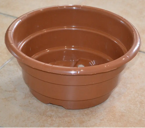 Горщик D 21 для хризантеми (3л) Горщик D 21 для хризантеми (3л)