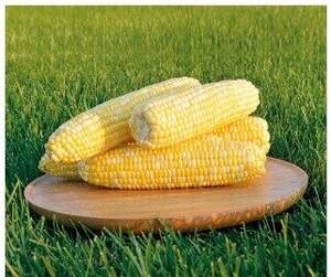 Кукурудза "Мармурова F1" 10 г.