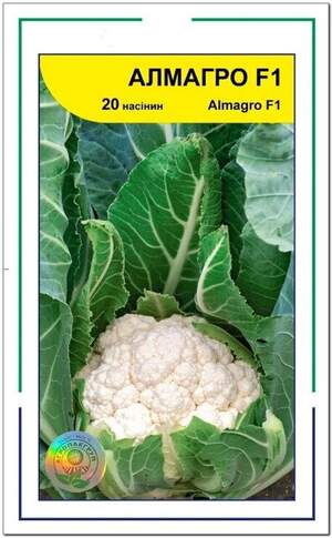 Капуста Цвітна Алмагро F1 20 нас. А (Syngenta)